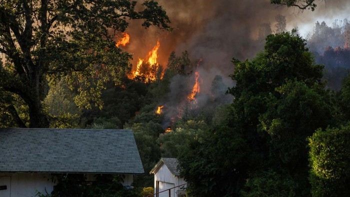 Potret Kebakaran Hutan di California Smoke and flames rise near a house as firefighters battle the Thompson wildfire in a canyon near Oroville, California, U.S., July 2, 2024. REUTERS/Carlos Barria