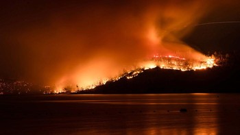 Kebakaran California: Perubahan iklim menyebabkan kebakaran hutan jadi ancaman besar, dan di 2018 sebagian besar wilayah California terkena dampak kebakaran terburuk dalam beberapa tahun terakhir. Lebih dari 100 orang tewas dalam lebih dari 8.500 kebakaran di seluruh California. Bencana ini menghancurkan lebih dari 24.000 bangunan serta membakar dua juta hektar tanah. Tak ada keraguan kebakaran tersebut merupakan bencana yang disebabkan manusia. Tahun-tahun sebelum kebakaran terjadi peningkatan suhu akibat perubahan iklim, dan hal ini membunuh banyak pohon. Pohon yang mati dan kering jadi bahan bakar menyebar api.Foto: REUTERS/Carlos Barria
