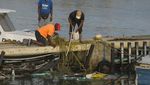 Puluhan Kapal Nelayan di Barbados Hancur Diterjang Badai Beryl