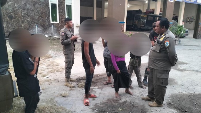 Tujuh anjal di Lamongan saat diamankan Satpol PP