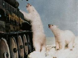 10 Foto Bersejarah Dunia, Bikin Terkesima