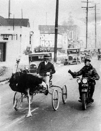 Melalui grup Facebook History, Mistery, and Wonders of the World, kumpulan foto bersejarah berserta ceritanya dibagikan. Belajar banyak hal dari sini.