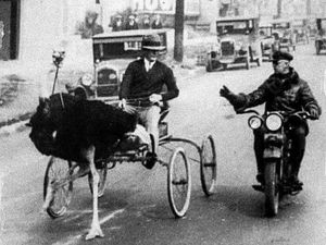 10 Foto Bersejarah Dunia, Bikin Terkesima