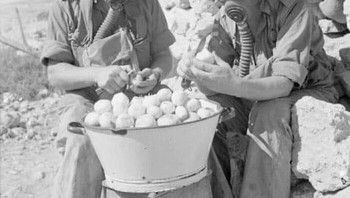Tentara menggunakan masker gas ketika mengupas bawang merah di Tobruk, 15 Oktober 1941. Foto: Facebook/History, Mistery, and Wonders of the World via Bored Panda