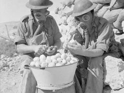 10 Foto Bersejarah Dunia, Bikin Terkesima