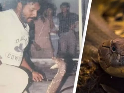 Kisah Pawang Sekamar dengan 400 Kobra, Dijuluki Raja Ular
