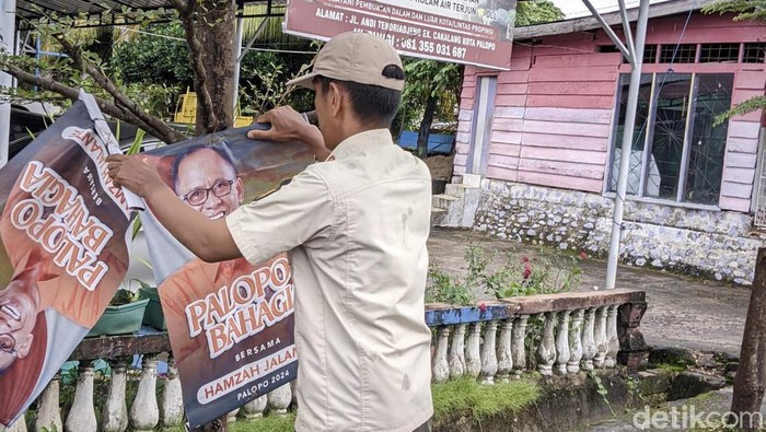 DLH Palopo saat menertibkan banner APK Pilkada yang dipaku di pohon.