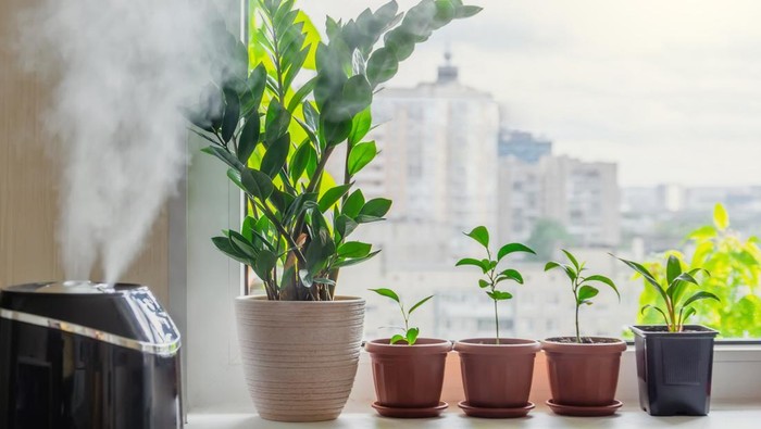 Ilustrasi humidifier Ilustrasi humidifier