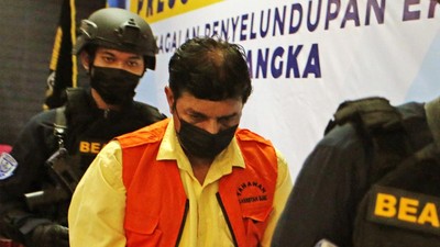 Ini Aktor Bollywood yang Dibekuk Bea Cukai Gegara Selundupkan Cenderawasih