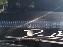 Polisi Tangkap 4 Pelempar Kaca Mobil di Jalan Denpasar-Gilimanuk