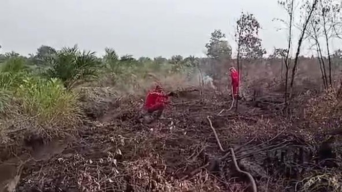 Kebakaran hutan dan lahan (Karhutla) di Banyuasin masih dilakukan mopping up oleh Manggala bersama tim. Upaya itu untuk memastikan tidak ada potensi api menjalar ke tempat lain.