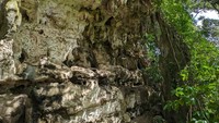 Salah satu peneliti, Profesor Adam Brumm dari Griffith’s Australian Research Centre for Human Evolution (ARCHE), menyatakan bahwa seni hias gua dari Leang Karampuang memberikan pemahaman baru terhadap signifikansi budaya bercerita dalam kaitannya dengan sejarah seni. Lukisan cadas tertua yang ditemukan di Sulawesi ini terdiri atas beberapa adegan yang bisa dikenali dengan mudah, yaitu penggambaran interaksi manusia dan hewan yang bisa ditafsirkan bahwa seniman pembuatnya berusaha untuk berkomunikasi secara naratif.