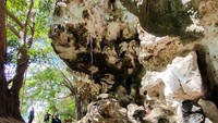 Hasil penelitian telah diunggah pada Jurnal Nature dengan judul Kajian Seni Gua Narasi di Indonesia 51.200 Tahun Lalu bertepatan dengan hari jadi Kabupaten Maros-Pangkep, Sulawesi Selatan.