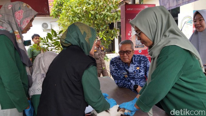 Pemberian vaksin rabies oleh DKPP Kota Cirebon terhadap hewan peliharaan