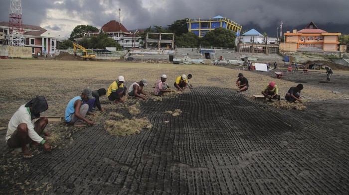 Sejumlah pekerja menanam rumput di lapangan Stadion Gelora Kie Raha Ternate, Maluku Utara, Kamis (4/7/2024). Penanaman rumput baru jenis zoysia matrella yang didatangkan dari Jawa itu sesuai standar FIFA, sementara progres renovasi stadion yang akan digunakan untuk pertandingan Liga 1 2024-2025 tersebut telah mencapai 70 persen dan ditargetkan selesai pada Agustus 2024. ANTARA FOTO/Andri Saputra/tom.
