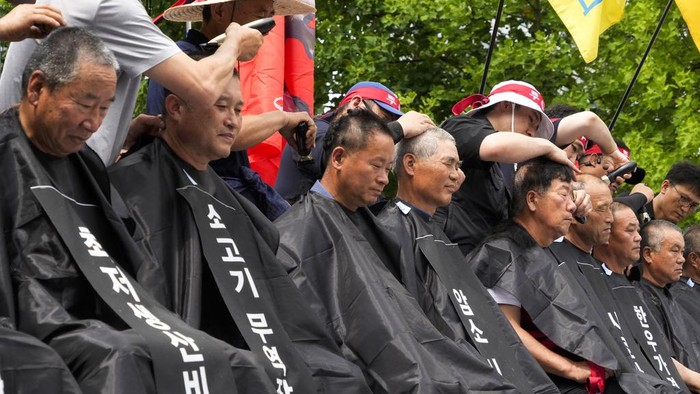 Peternak Korsel Kompak Cukur Rambut, Bentuk Protes Mahalnya Pakan Ternak Korean cattle farmers who are demanding a reduction in cattle feed price, try to hurl a cut-out photo of Hanwoo over police barricades as they stage a rally near the National Assembly in Seoul, South Korea, Wednesday, July 3, 2024. Hundreds of farmers called for the stabilization of the Hanwoo industry. Hanwoo is a breed of cattle native to Korea. (AP Photo/Ahn Young-joon)