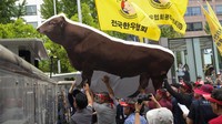 Selain aksi cukur rambut, para peternak juga mengarak gambar sapi Hanwoo.