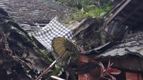 Pohon beringin diameter 8 meter tumbang menimpa ruang ganti pangelukatan Pura Tirta Empul Tampaksiring, Rabu (3/7/2024). (foto : dok Polsek Tampaksiring).