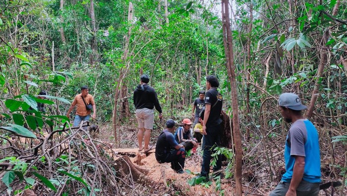 Polisi saat mendatangi lokasi penebangan pohon.