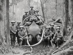 Gambar Unik Rekayasa AI: Bangsawan Thailand Abad ke-19 Vs Monster