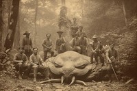 Potret Misterius Kala Bangsawan Thailand Abad ke-19 Berburu Monster