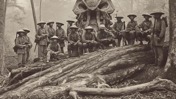 Foto AI ini ceritanya mengisahkan para pemburu berhasil menaklukan salah satu binatang dongeng yang berkeliaran di hutan Thailand. Foto: Dautruongtoanhoc