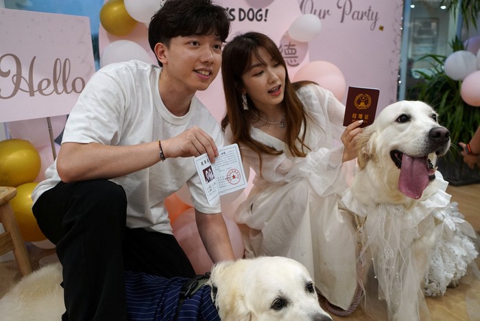 Dog owners Rye Ling and Gigi Chen pose with newly married golden retrievers Bree and Bond while holding their mock marriage certificates, in Shanghai, China June 29, 2024. REUTERS/Nicoco Chan