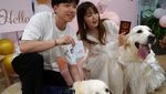 Potret Pernikahan Anjing di China, Ada Akte Nikahnya