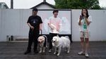 Potret Pernikahan Anjing di China, Ada Akte Nikahnya