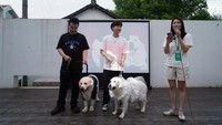 Anjing bernama Bree dan Bond itu dipakaikan gaun dan jas selama acara tersebut.  