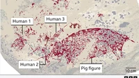 Lukisan seekor babi hutan dan tiga figur yang mirip manusia itu berusia setidaknya 51.200 tahun. Umurnya lebih dari 5.000 tahun lebih tua dari seni gua tertua sebelumnya.