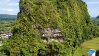 Lukisan ini menunjukkan seekor babi yang berdiri diam dengan mulutnya yang terbuka sebagian dan setidaknya tiga figur yang mirip manusia. Lukisan tersebut ditemukan di gua di Bukit Karampuang, Sulawesi Selatan, Indonesia.