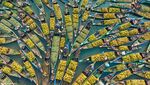 10 Foto Makanan Terbaik di 2024, Ada Foto Roti, Penjual Pisang dan Ikan di Pasar