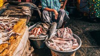 Beralih ke foto makanan terbaik jepretan ponsel, ada karya Hein Van Tonder yang mengabadikan momen penjual ikan di pasar tradisional di India. Foto: Pink Lady® Food Photographer Of The Year