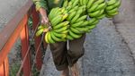 10 Foto Makanan Terbaik di 2024, Ada Foto Roti, Penjual Pisang dan Ikan di Pasar