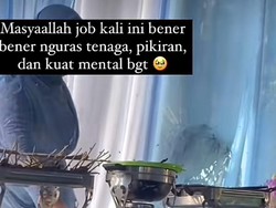 Viral Pernikahan Dikerumuni Lalat di Bandung, Ini Penyebabnya