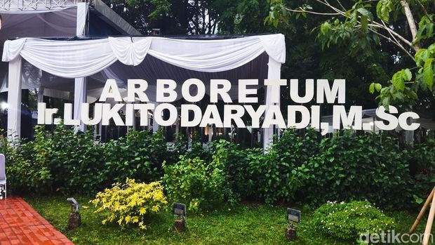 Arboretum Manggala di area Kementerian LHK. (Maulana/detikcom)