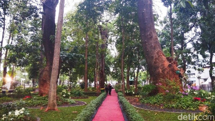 Arboretum Manggala di area Kementerian LHK. (Maulana/detikcom)