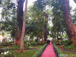 Siti Nurbaya Pamer Arboretum di KLHK: Ada Burung Rangkong dan 300 Pohon