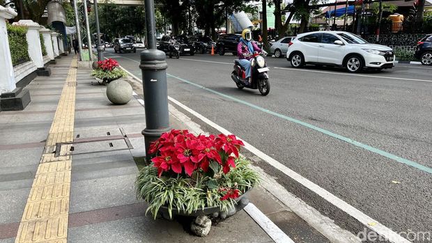 Bunga merah hiasi Jalan Merdeka Bandung.