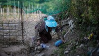 Han Jeong-rye, 80, merangkak di bawah jaring ketat setinggi 1,8 meter yang mengelilingi kebun sayurnya, yang bertujuan untuk melindungi tanaman dari rusa, di Pulau Anma di Yeonggwang, Korea Selatan.