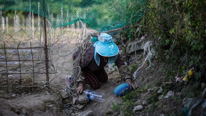 Kawanan Rusa Menguasai Pulau Anma Korea Selatan Deer roam around the town on Anma Island in Yeonggwang, South Korea, May 21, 2024. The government is weighing a petition from the villagers to designate the deer as