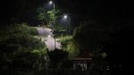 Kawanan Rusa Menguasai Pulau Anma Korea Selatan