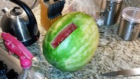 Seorang wanita ingin ngemil melon yang manis segar, tapi ia tak tahu cara benar potong semangka. Jadi deh hasilnya begini! Foto: Bored Panda
