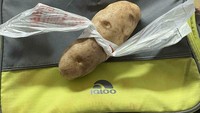 Belanja kentang di supermarket, wanita ini tak bisa membuka tas belanjanya. Akhirnya ia membungkus kentang dengan plastik dan menentengnya! Foto: Bored Panda
