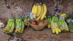 Kocak! 10 Potret Makanan Gagal dari Istri untuk Suami dan Keluarganya