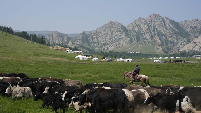 Tourists get off the bus near the iconic Turtle Rock at the Terejl National Park outside Ulaanbaatar, Mongolia, Wednesday, July 3, 2024. (AP Photo/Ng Han Guan)