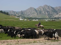 6 Fakta Mongolia, Negara yang Pernah Menjadi Kekaisaran Terbesar Dunia