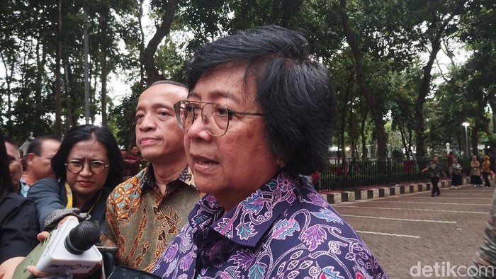 Menteri Lingkungan Hidup dan Kehutanan (LHK) Siti Nurbaya Bakar. (Maulana/detikcom)