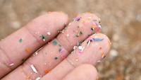 Eksperimen Aneh Miliarder AS Demi Sperma Bebas Cemaran Mikroplastik Eksperimen Aneh Miliarder AS Demi Sperma Bebas Cemaran Mikroplastik